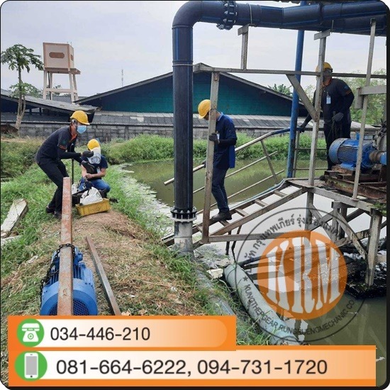 ซ่อมมอเตอร์ปั๊มน้ำ - บริษัท กรุงเทพเกียร์ รุ่งเรืองแมคคานิค จำกัด - ซ่อมมอเตอร์ปั๊มอุตสาหกรรม  ซ่อมมอเตอร์ปั๊มน้ำ  มอเตอร์ปั๊มน้ำ ไม่หมุน 