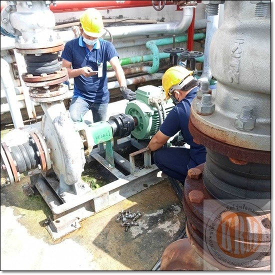 รับซ่อมมอเตอร์ สมุทรสาคร - บริษัท กรุงเทพเกียร์ รุ่งเรืองแมคคานิค จำกัด - รับซ่อมมอเตอร์ สมุทรสาคร   รับซ่อมปั๊มอุตสาหกรรม 